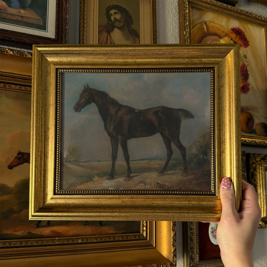 Vintage Style Black Horse Landscape Print Framed Size 8x10