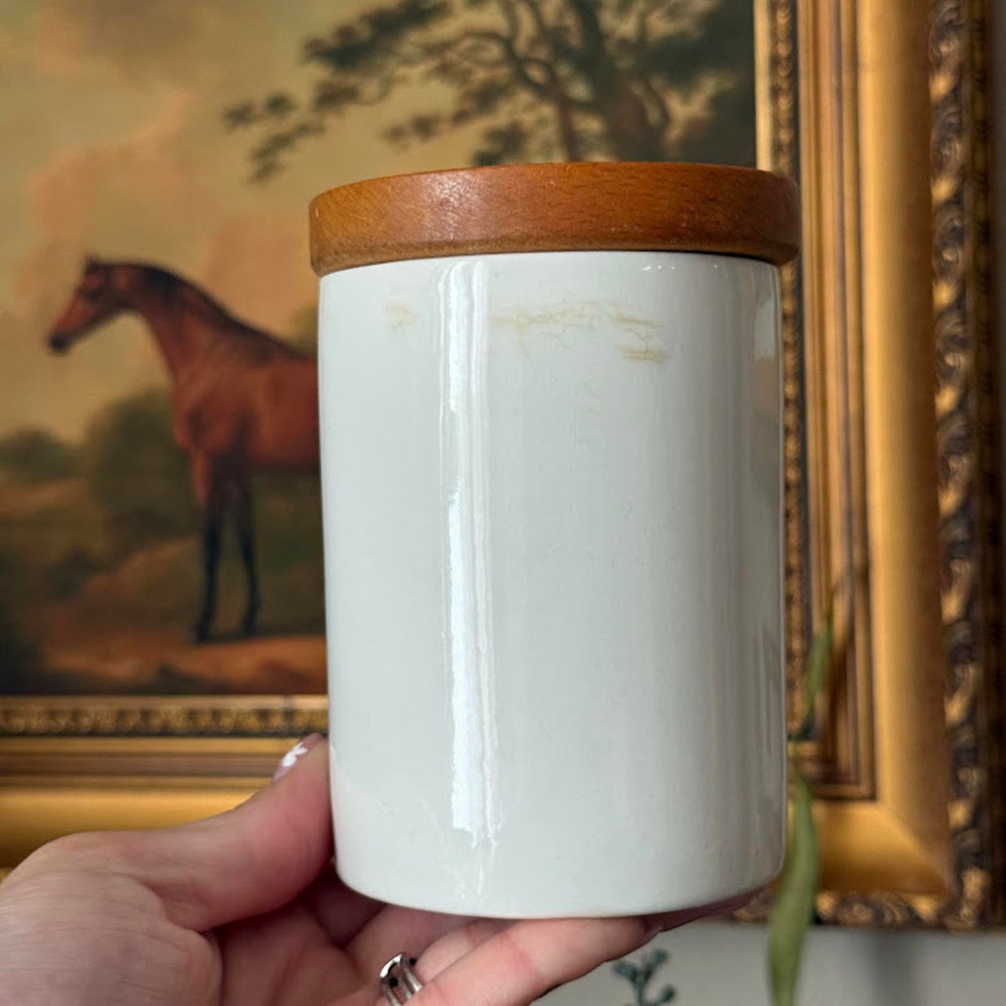 Vintage Portmeirion Botanical Garden Canister Set
