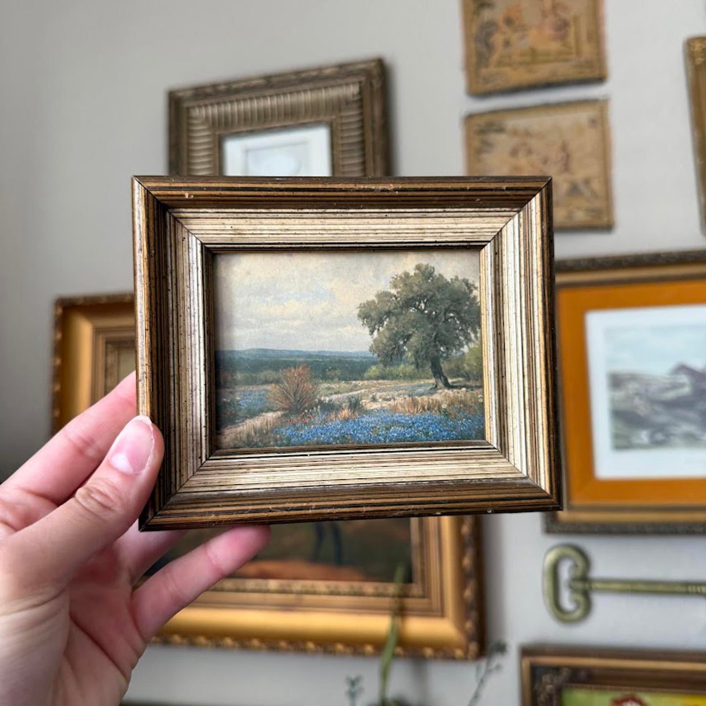 Vintage Scenery Print in Frame