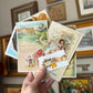 Vintage postcard Ephemera lot bundle